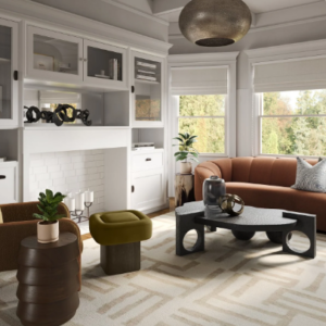 Living Room Without Sofa
